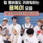 [스키즈] 멤버도 귀여워하는