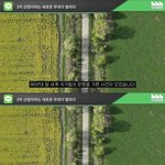 [방탈죄<b>송</b>] 일본 정부가 라인을 탐내는 이유
