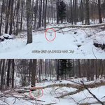 [개념상실] (2) 짜루 영상보니까 콜백도 안되는구만 여태 아무일...