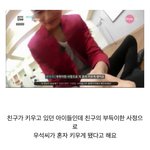 [댓글부탁해] 변우석도 9년전에 <b>펫샵견</b> 데려옴