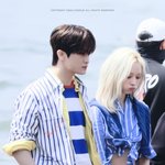 오늘 <b>폴로</b> 행사 마크 윈터 투샷