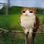 지금 플보고 내 <b>표정</b>