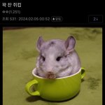 <b>배우</b>보고 <b>연기</b> 못한다고