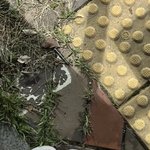 나만 <b>류선</b>재보다