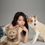 반려견이랑 화보 찍은 여자 아이돌들