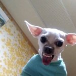 [댓글부탁해] 대학 엘티 가본 사람!!
