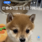 돈없는데 다이어트는 해야겠고