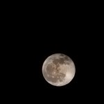 [어케생각해] 여러분이 생각하는 스물아홉의 평균은 어떤 건가요?