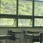 엄마는 날 카피<b>바라</b>로 낳았어야함