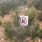 근데 톡선에 <b>바이럴글</b> 올라가는거 영자가 돈받고 해주는거임?