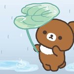 안읽씹 정떨어진다는 거 이해 못했는데