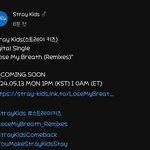 [스키즈] <b>리믹스</b>라니