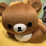 13.6 초코<b>렌즈</b>없냐