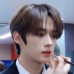 [스키즈] 리노는 고양이다<b>vs</b>토끼다