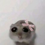 난 대한민국이 싫어