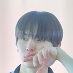 요즘 니콜라스가 너무<b>조음</b>..