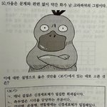 [댓글부탁해] 문제와 관련 없이 약간 <b>화가</b> 난 고라파덕