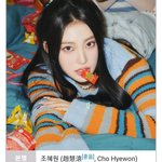 위클리 조아 나무<b>위키</b> 잘못된 거 아님?