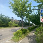 한 평생 let it <b>be</b> summer~