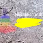 유명 유튜버 단월드 <b>의심</b>