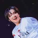 [드루와] 이 악개야
