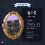 [고양이] 인스타그램_마이베프 <b>명화</b>쇼핑백 모델 투표