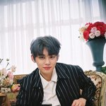 [<b>TXT</b>] 연준이 고양이