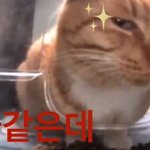 남들은생각보다 나한테 관심없다는거