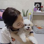 반려견에 지지 않는 귀여움