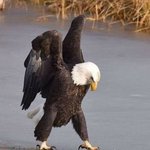 오 생각보다 <b>제법</b> 위협적인데?