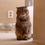 <b>이</b><b>쒸</b>야