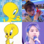<b>트위티</b>와 아이유의 평행이론
