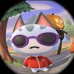 나만 금쪽같은 내새끼 보면 <b>위안</b>되나?