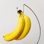 바나나가 왜 <b>뱃살</b>을 빼주는지 알려드립니다.