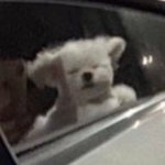 겟<b>레디</b>윗미 재밌는 사람 좀 추천해주셈