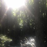 <b>미화</b>된 여름이 좋다