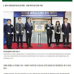 직구 금지는 정부의 페이크인 이유