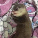 <b>서랍</b>에서 24만원 찾음