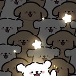 <b>어깨</b> 41cm인데 ㅈㄴ 넓은거지