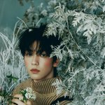 [<b>TXT</b>] 일본컨포 개예쁨