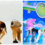 뉴진스 이거 뭐야?