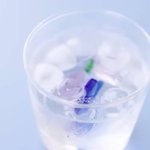 최화정이 유튭에서 알려준 다양한 음식들 레시피