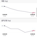 [이것좀봐줘] 내가 살 뺀 계기와 30키로 뺀 방법