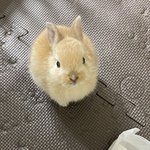 [드루와] 알바 경력없다고 구라쳐도 되려나