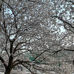 [댓글부탁해] 오늘 진짜 용기내서 마지막 선톡 할 거임