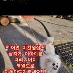 [방탈죄송] 보호소출신 강아지를 죽일듯이 팬 학<b>대범</b>. 잡을 수 있을까요?