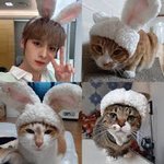 스키즈 간잽 하다가 느꼈는데 <b>리노</b> 필릭스