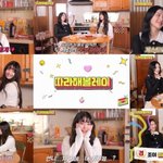 아이브 레이, 레드벨벳 조이 성덕됐다…"막연하게 좋아했던 존재"