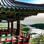 [국내여행] 안동 <b>월영교</b> 낙동강 따라 산책