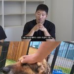 좋은 대표 <b>NO</b>" 강형욱, 반려견 방치→직원 갑질 '눈물의 해명'...